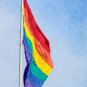 pride flag - San Diego Artist Karen Jones