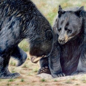 black bears - San Diego Artist Karen Jones
