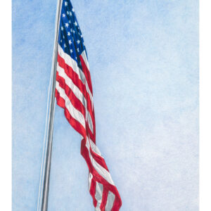 American flag - San Diego Artist Karen Jones