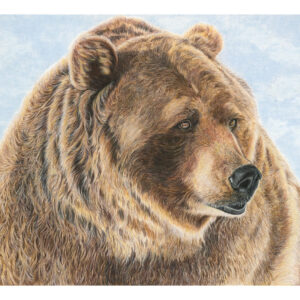 grizzly bear - San Diego Artist Karen Jones