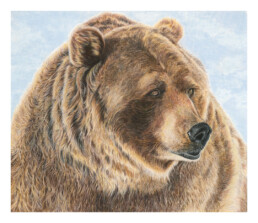 grizzly bear - San Diego Artist Karen Jones