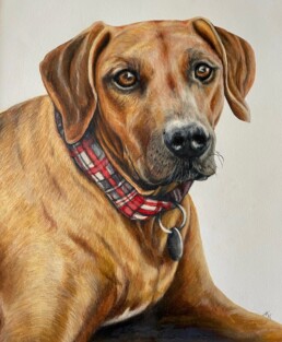 dog - San Diego Artist Karen Jones